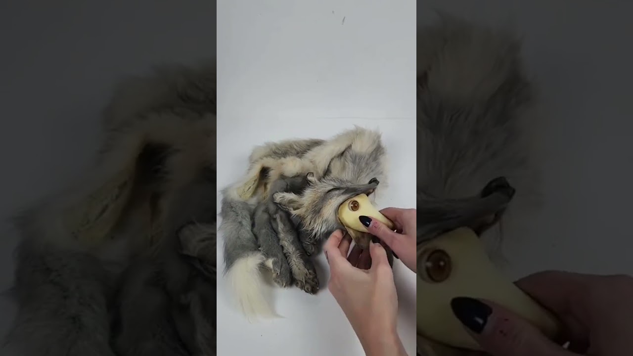 Test Fitting a Baby #fox: Incredible #taxidermy Process Revealed!