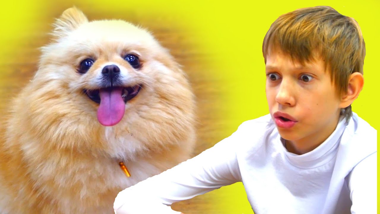 ПАШКА испугался собачки. Все серии подряд №1, №2