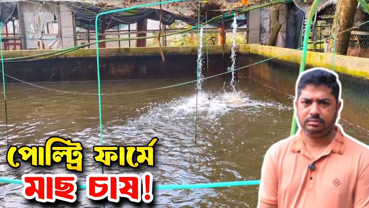 পোল্ট্রি ফার্মে বটম ক্লিন পদ্ধতিতে মাছ চাষ । Bottom Clean Fish Farming । Swadesh Agro ।