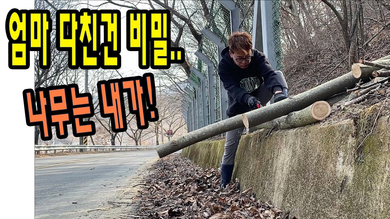 2026설EP1 엄마의 최애 떡국은?? 나무좀 했습니다