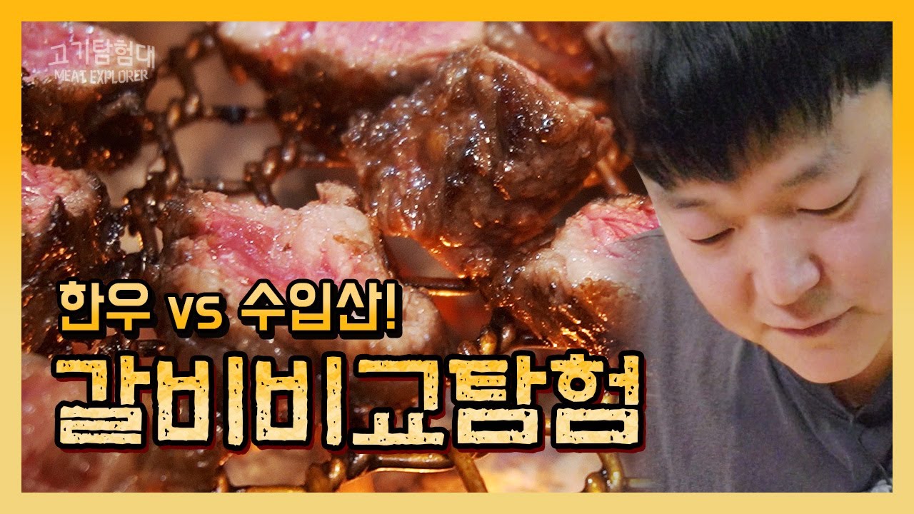 한우 vs 수입산 갈비살 뭐가 더 맛있을까? 맛과 가성비 모두를 비교해봤습니다 #한우 #미국산소고기 #호주산소고기 #수입소고기 #갈비살