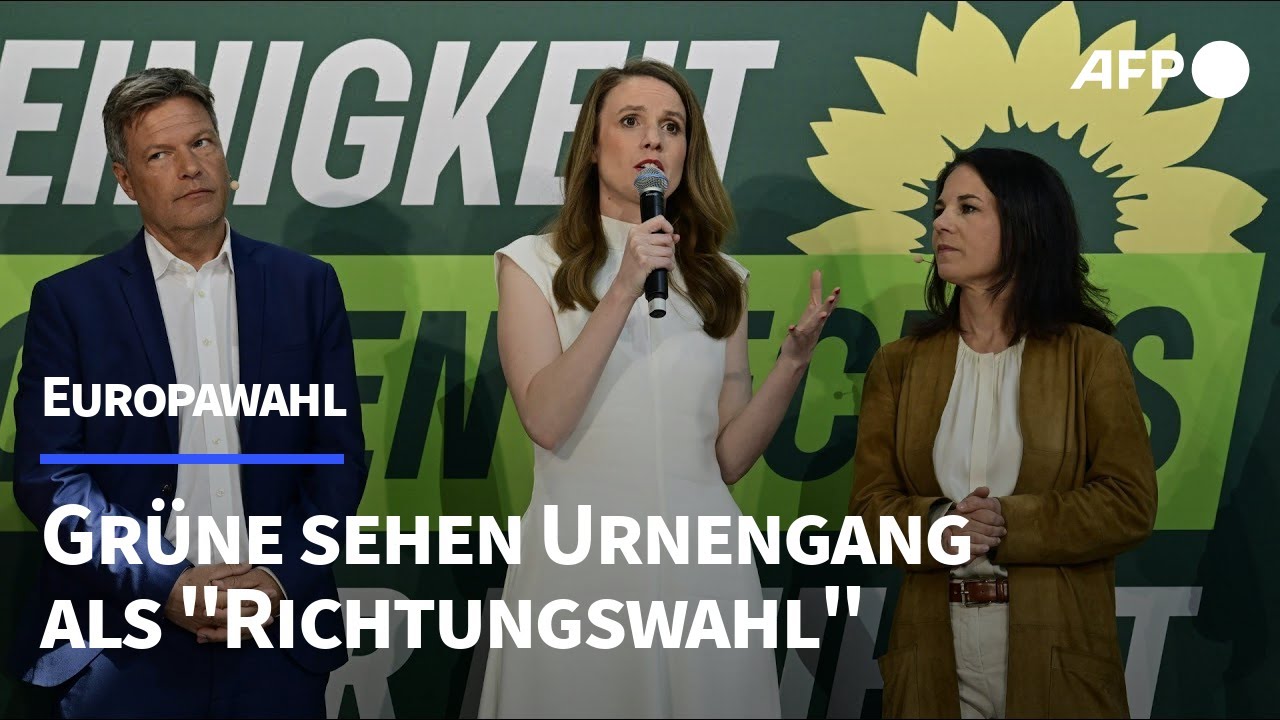Grüne: Europawahl als 