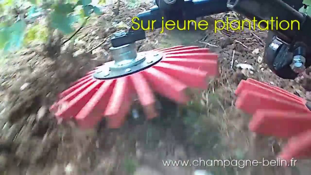 bineuses kress champagne belin