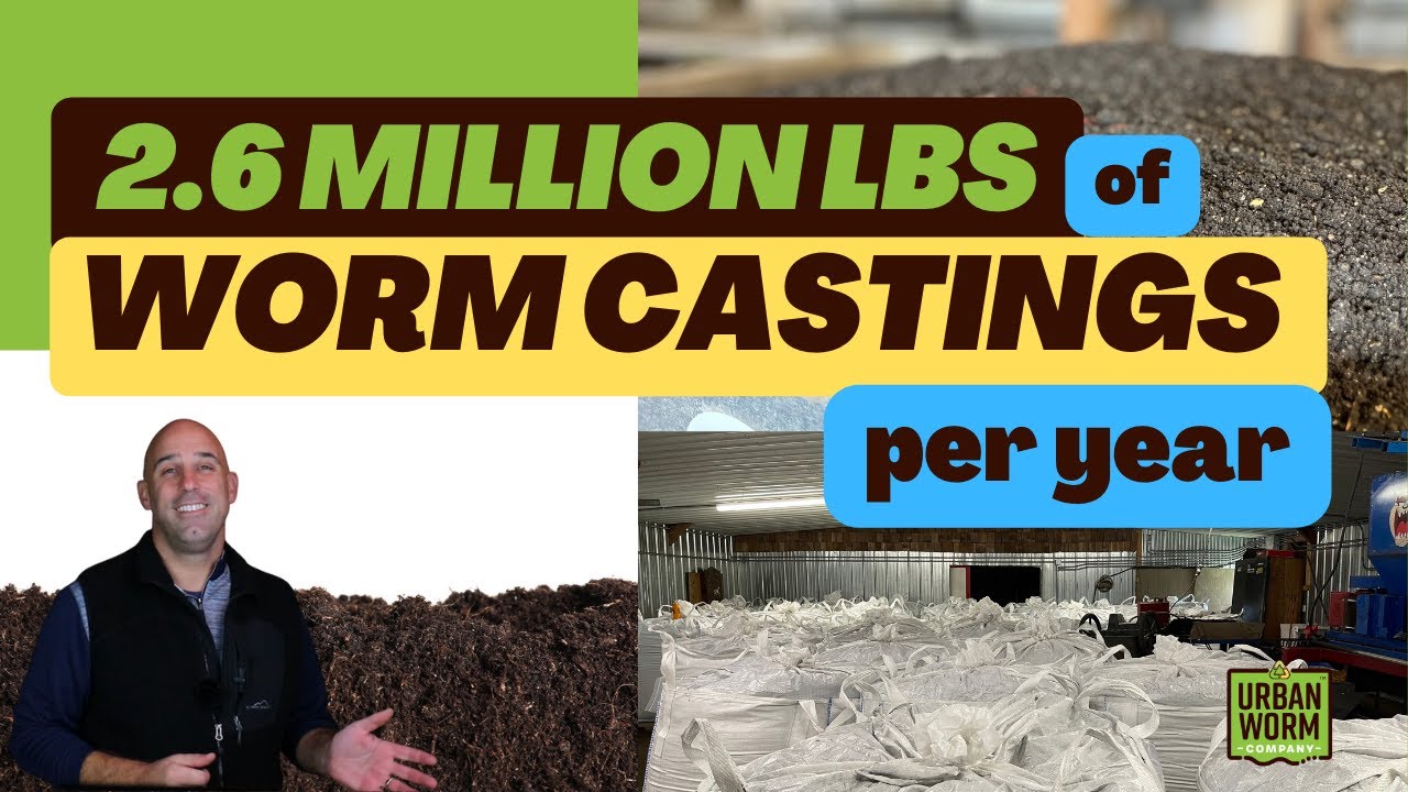 2.6 Million Pounds of Worm Castings a Year? How It's Made