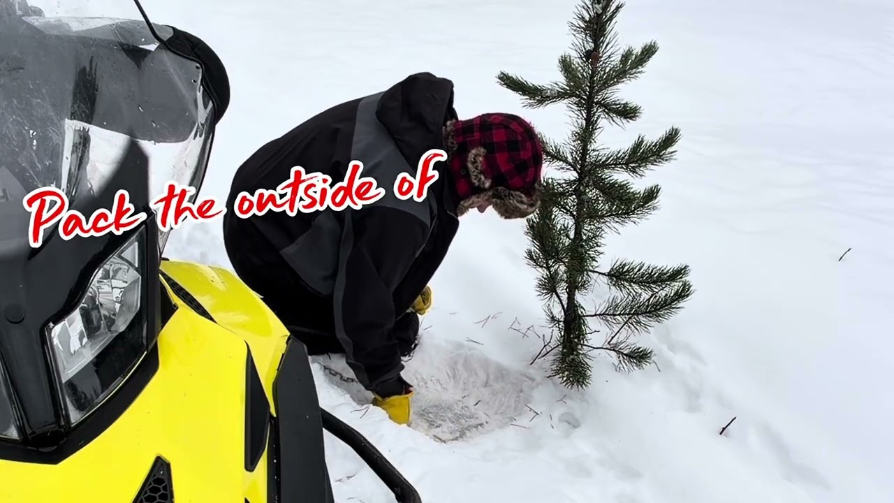 How I set a Pee Post set for wolves with a foothold on the trapline in winter conditions. 