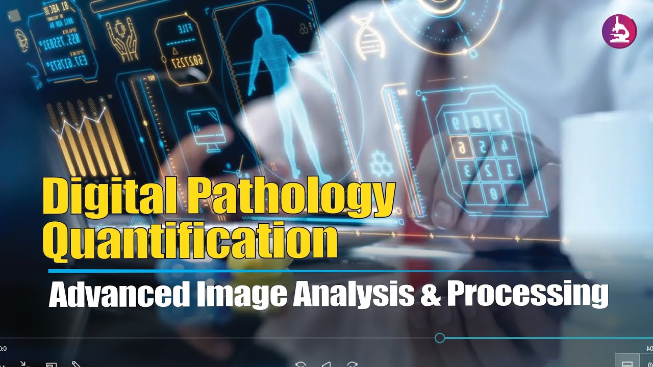 AI-Powered Digital Pathology Quantification | Advanced Image Analysis & Processing