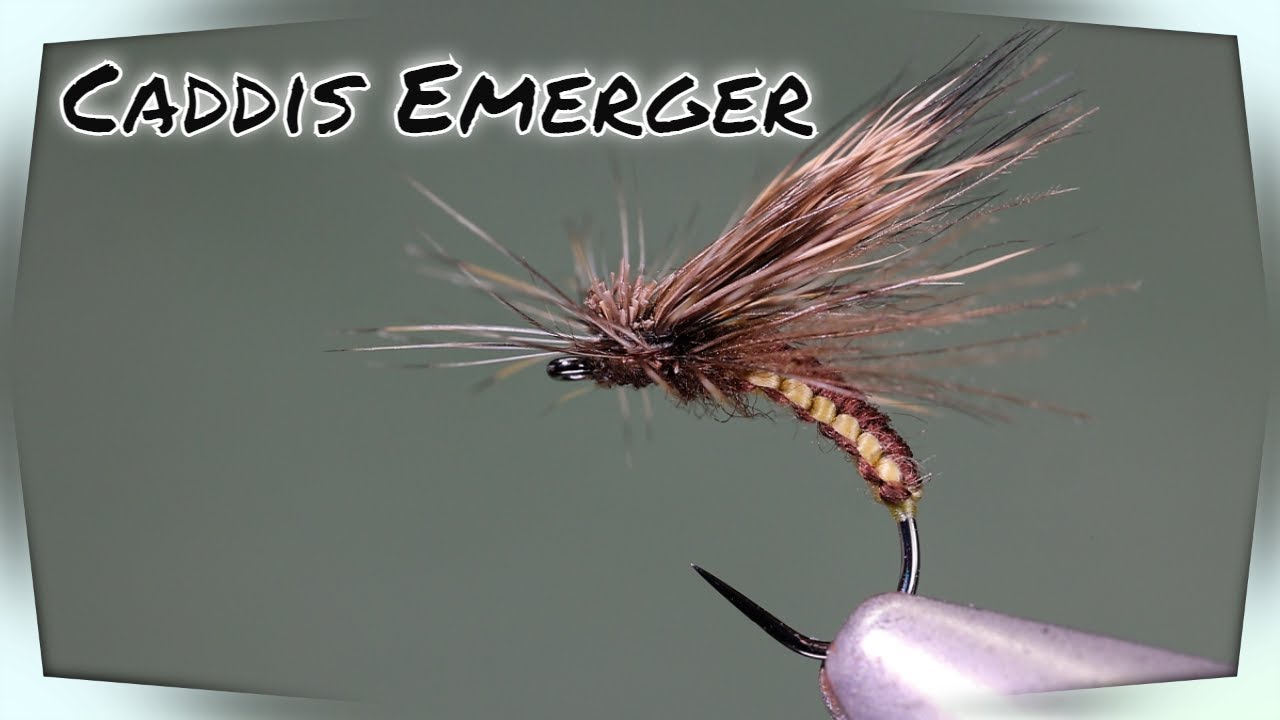 Tying a Caddis Emerger dry fly pattern.(Torill Kolbu woven body and tilt wing style)