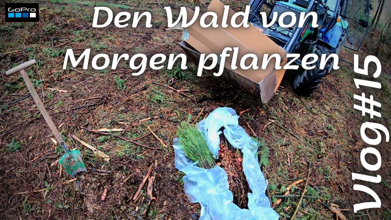 Vlog#15 Bäume pflanzen, Douglasie, Eiche, Buche...