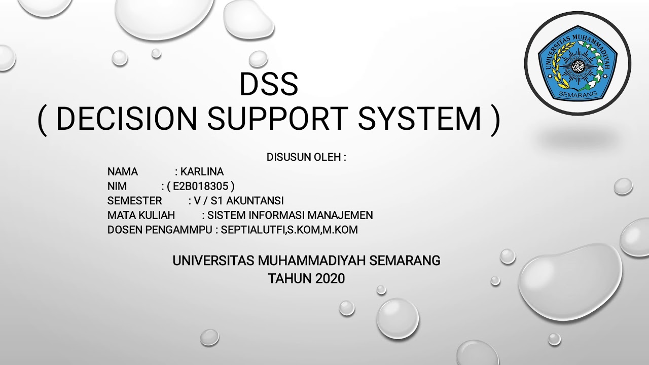 PPT DSS(Decision Support System)