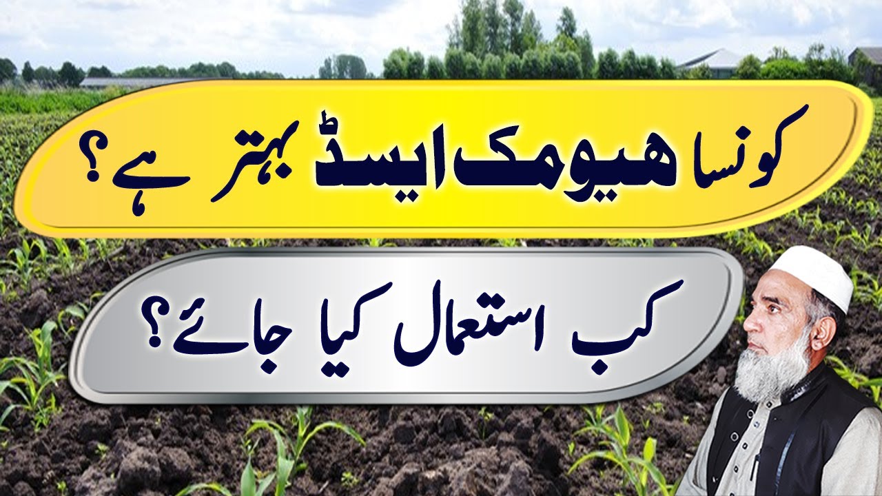 Which of the Humic acid is Better | Crop Reformer