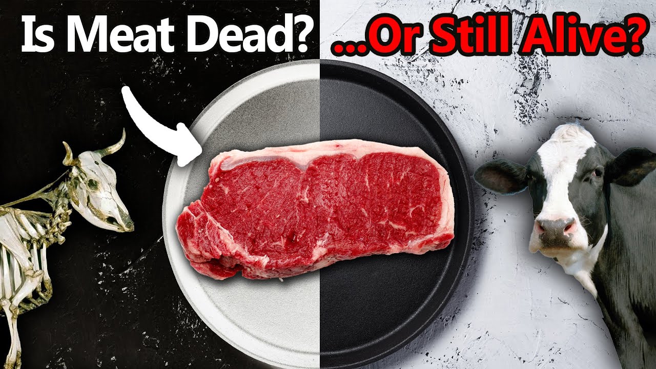 Could we resurrect a steak?