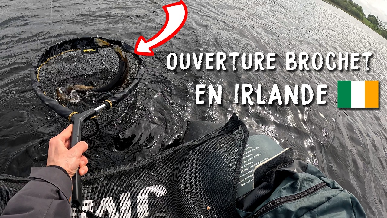 OUVERTURE BROCHET 2024 en Irlande !