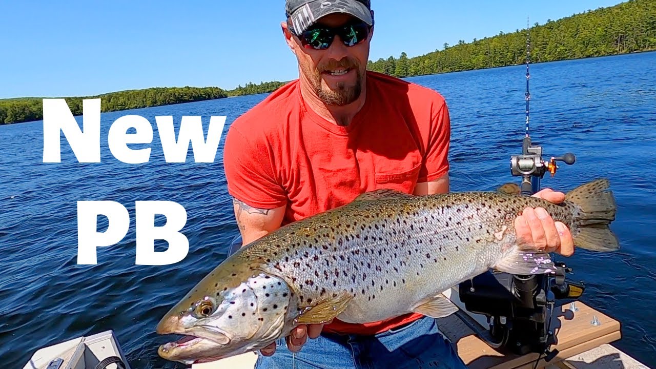 Brown Trout Fishing 2023 | Trolling Maine S4 Ep.2