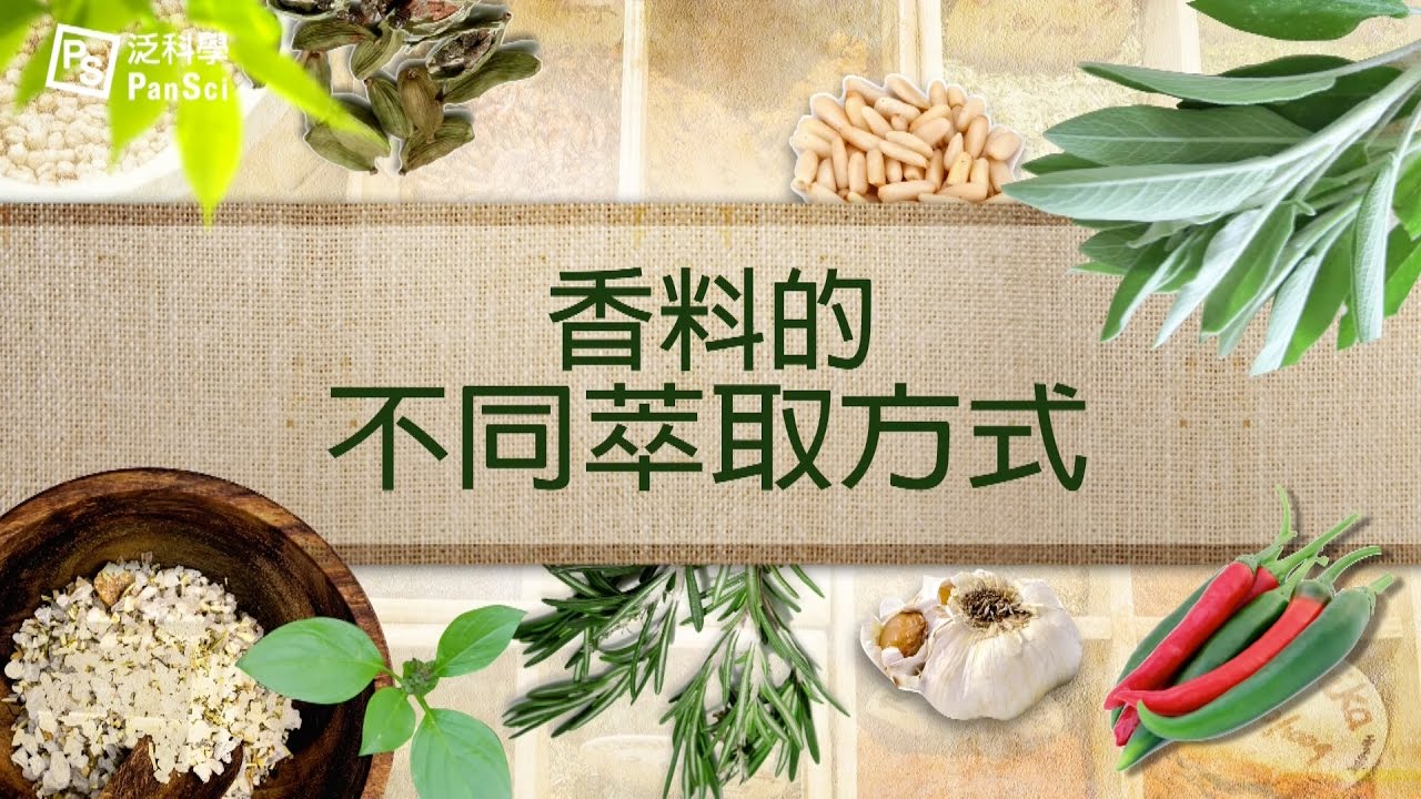 「為何香菜要最後加、但八角卻要早早加？」不同的香料，不同的萃取方式！｜科學大爆炸2-EP.10