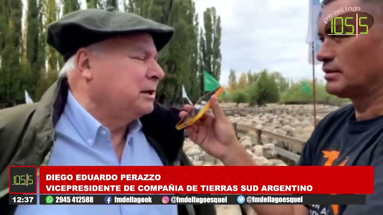 Diego Eduardo Perazzo, vicepresidente de compañía de tierras sud argentino