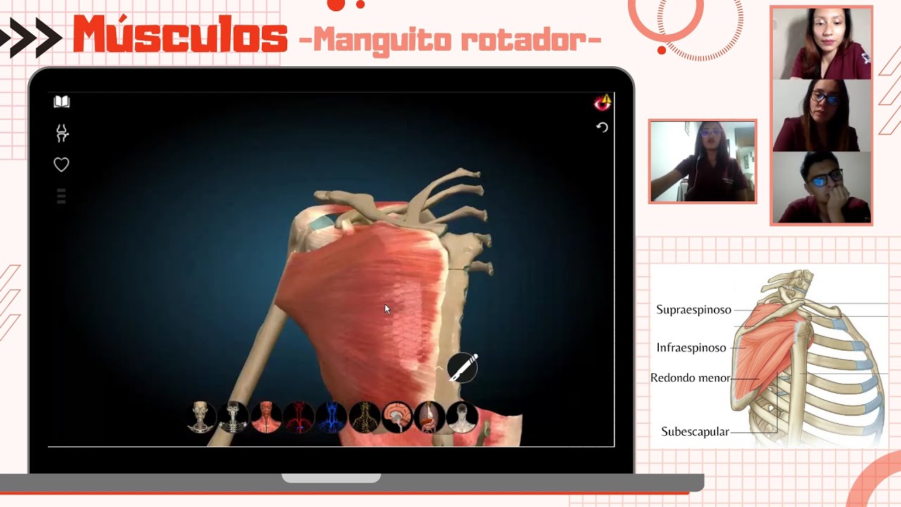 Anatomía Reemplazo de hombro