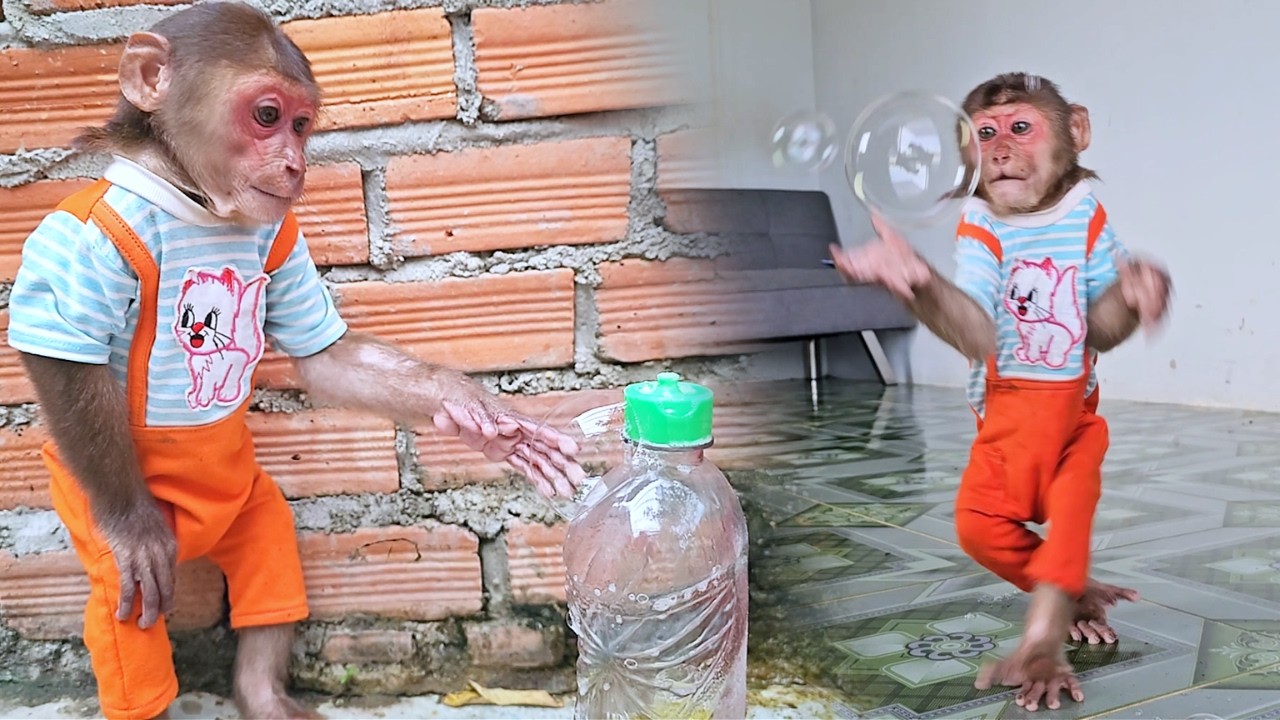Super Creative! Monkey SU Amazing Play Idea with Kitchen Soap!