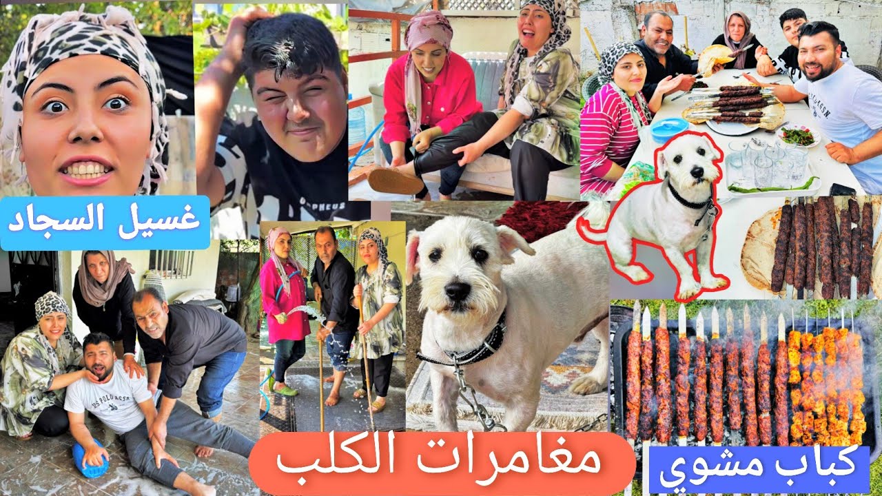 هرب الكلب من البيت🐕😀أكتر فيديو بضحك😂//غسل السجاد وكباب مشوي