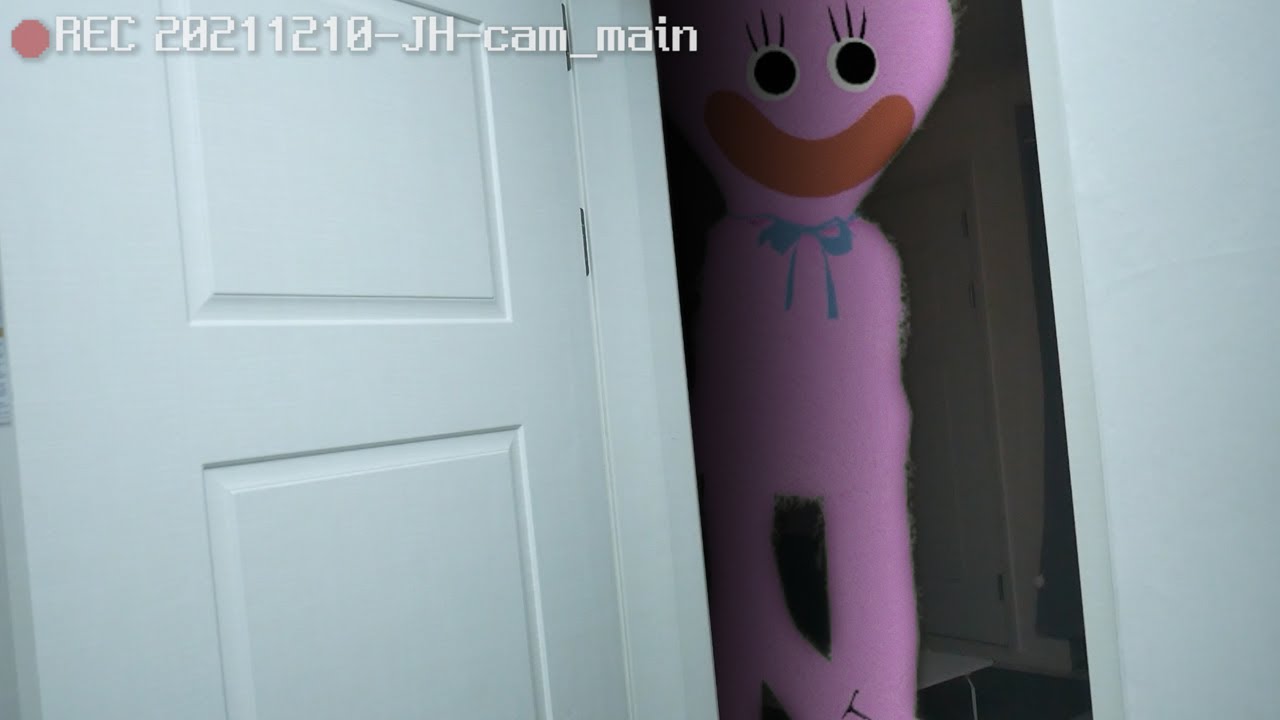 허기워기 여자친구 키시미시가 저희 집에 왔습니다.