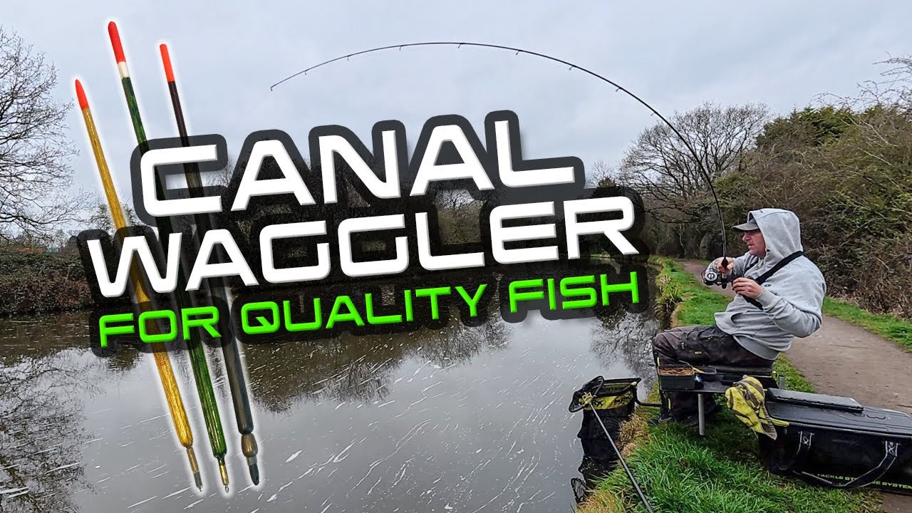 Canal Waggler For Quality Fish!
