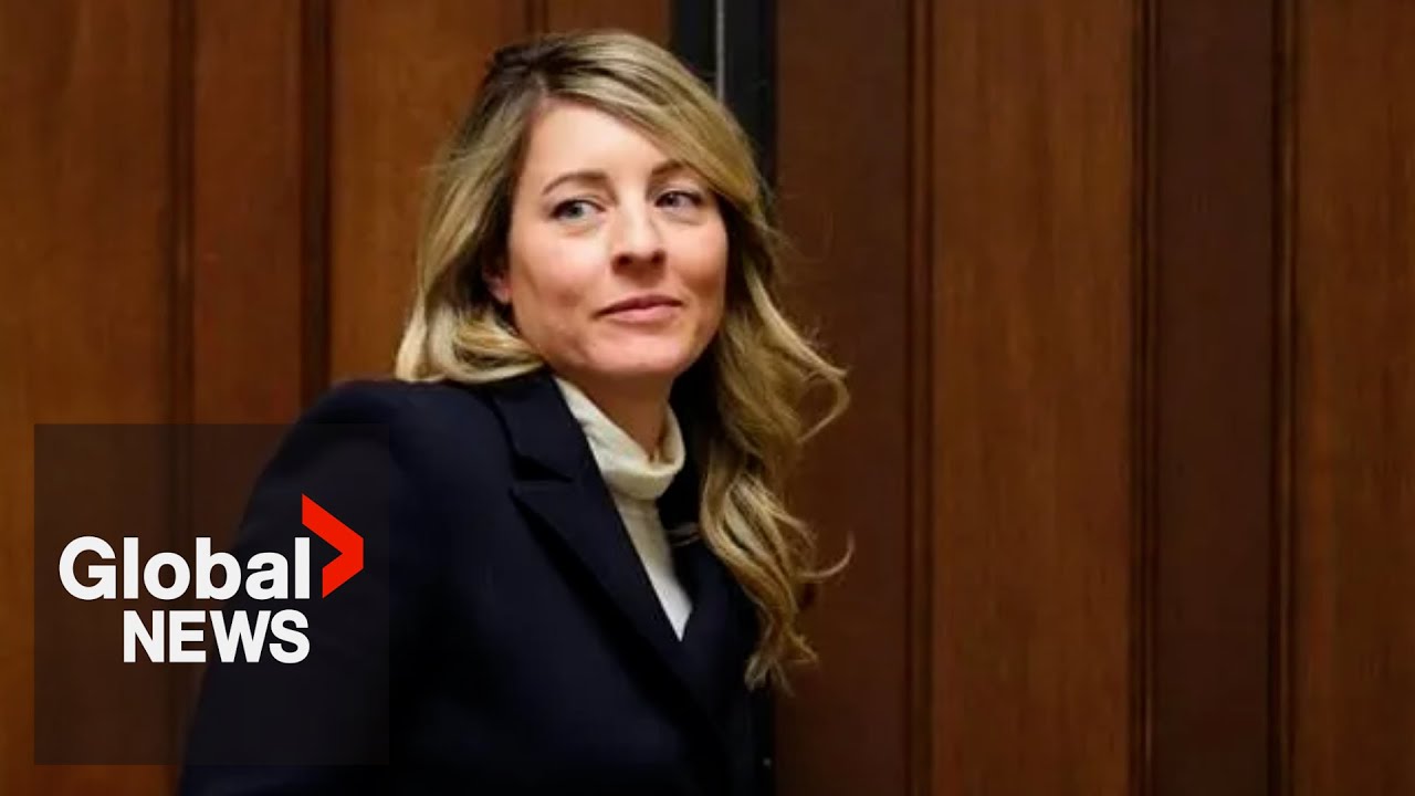 Canada’s message to US is “resonating” after meeting with Rubio, Joly says | FULL
