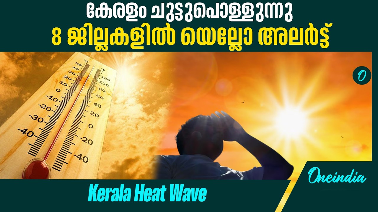 വേനൽച്ചൂട്; കരുതലും ശ്രദ്ധയും വേണം | Summer | Kerala Weather