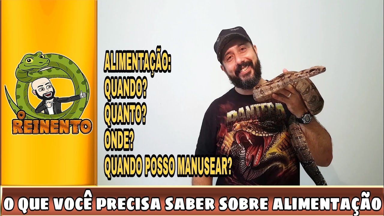 ALIMENTAÇÃO: O QUE VOCÊ PRECISA SABER!