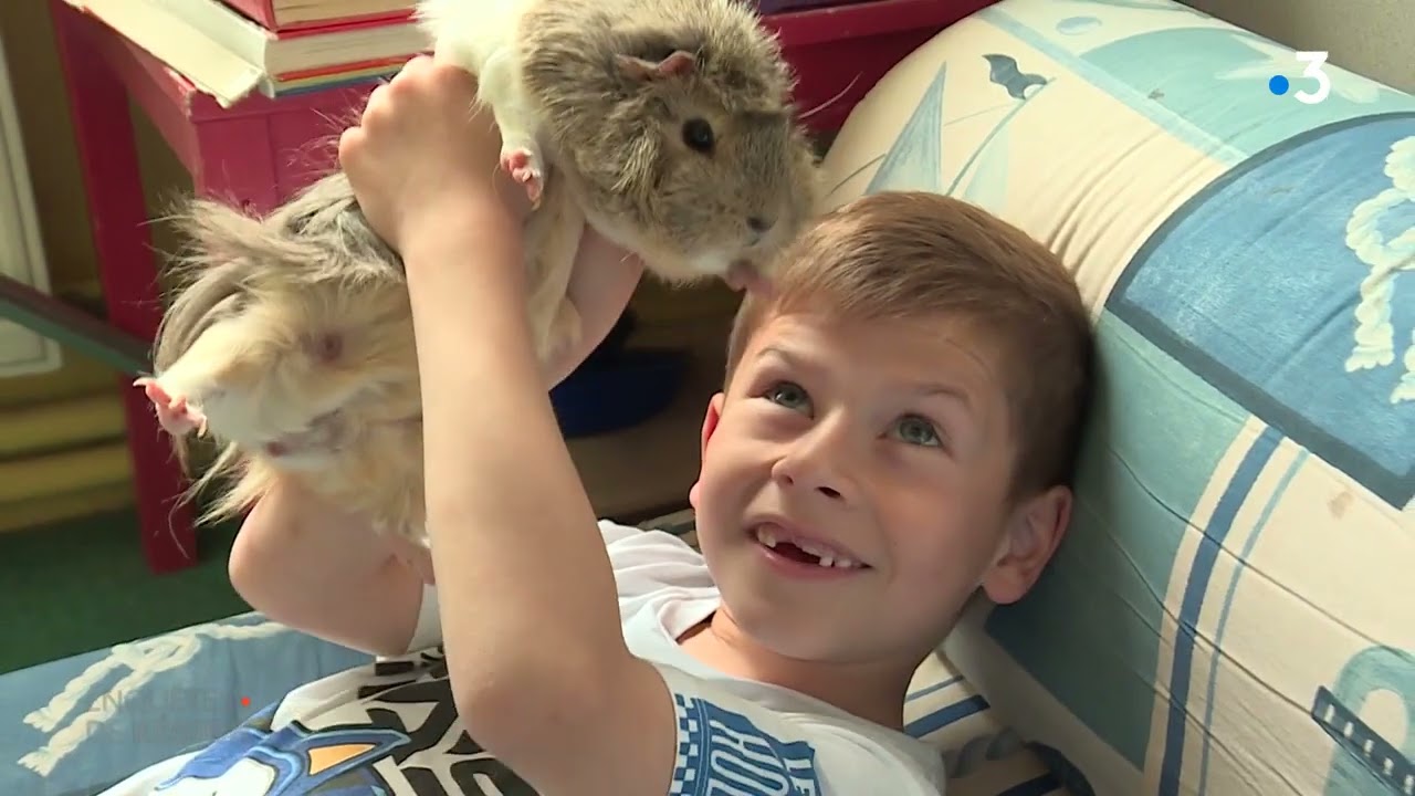 Enquêtes de Région. Apprendre Autrement, l'inclusion scolaire des enfants autistes