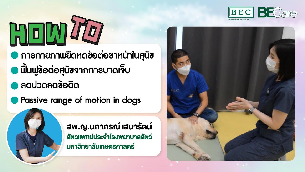 EP10 การกายภาพยืดหดข้อต่อขาหน้าในสุนัขฟื้นฟูข้อต่อสุนัขจากการบาดเจ็บ