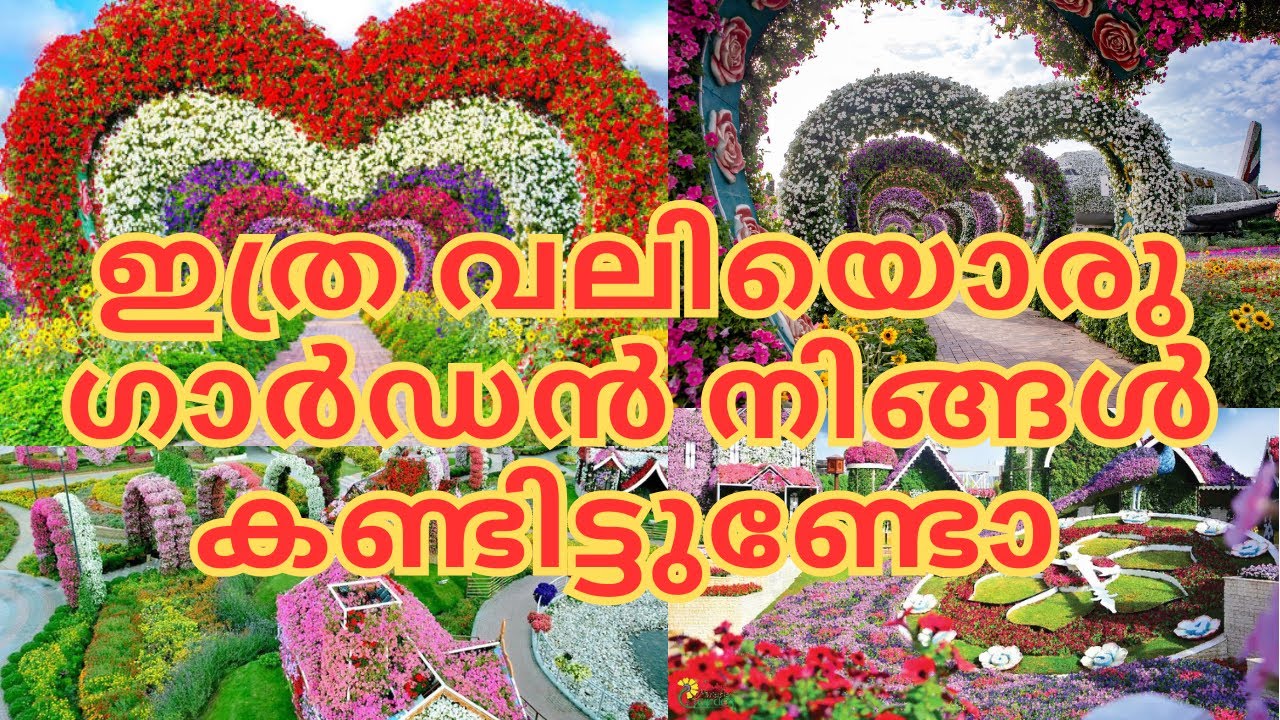 ആദ്യമായി മിറാക്കിൾ ഗാർഡനിൽ പോയ കാഴ്ച കണ്ടാൽ നിങ്ങൾ ഞെട്ടും |DUBAI MIRACLE GARDEN |NIJIS WORLDW| 