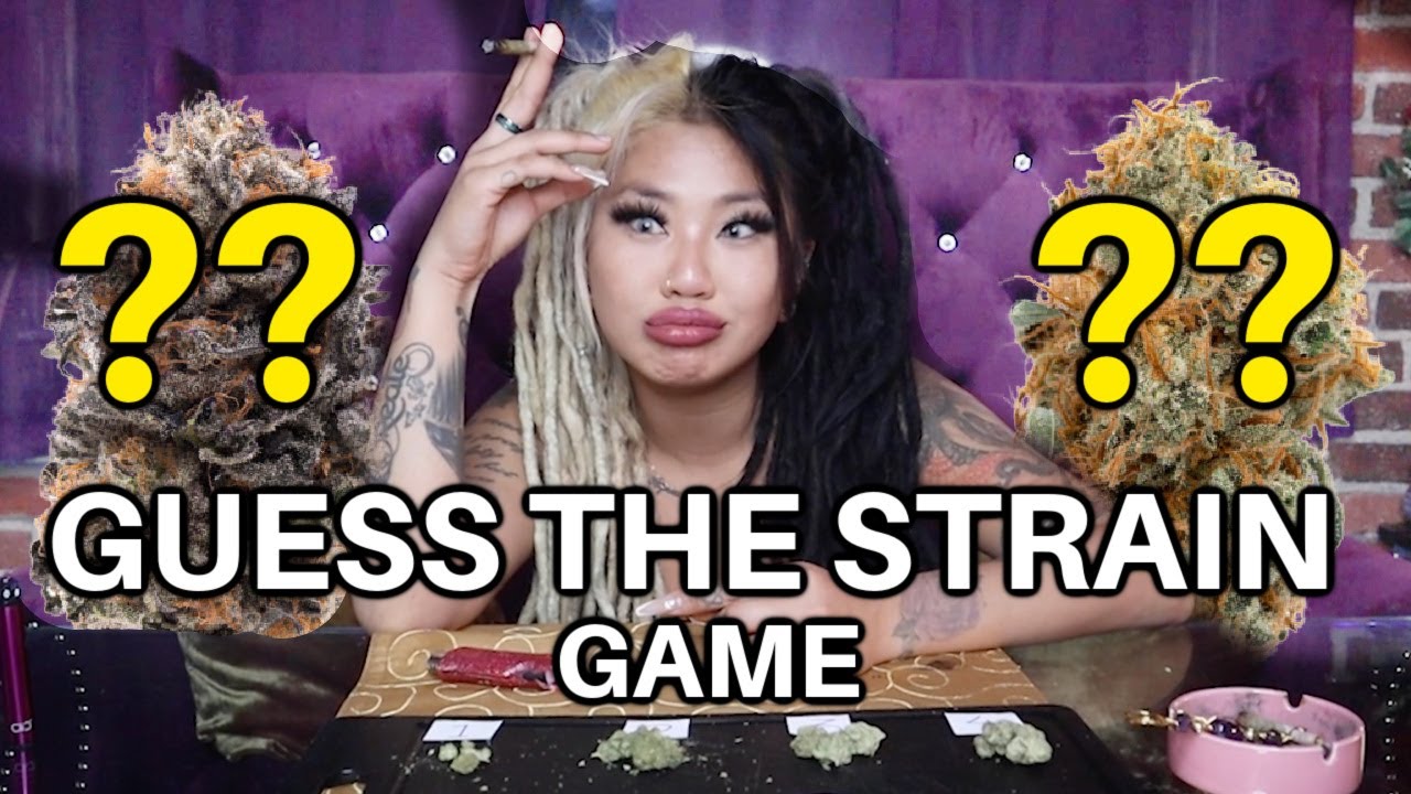 GUESS THE STRAIN GAME🔥 *harder than i thought lol* | Kimmy Tan