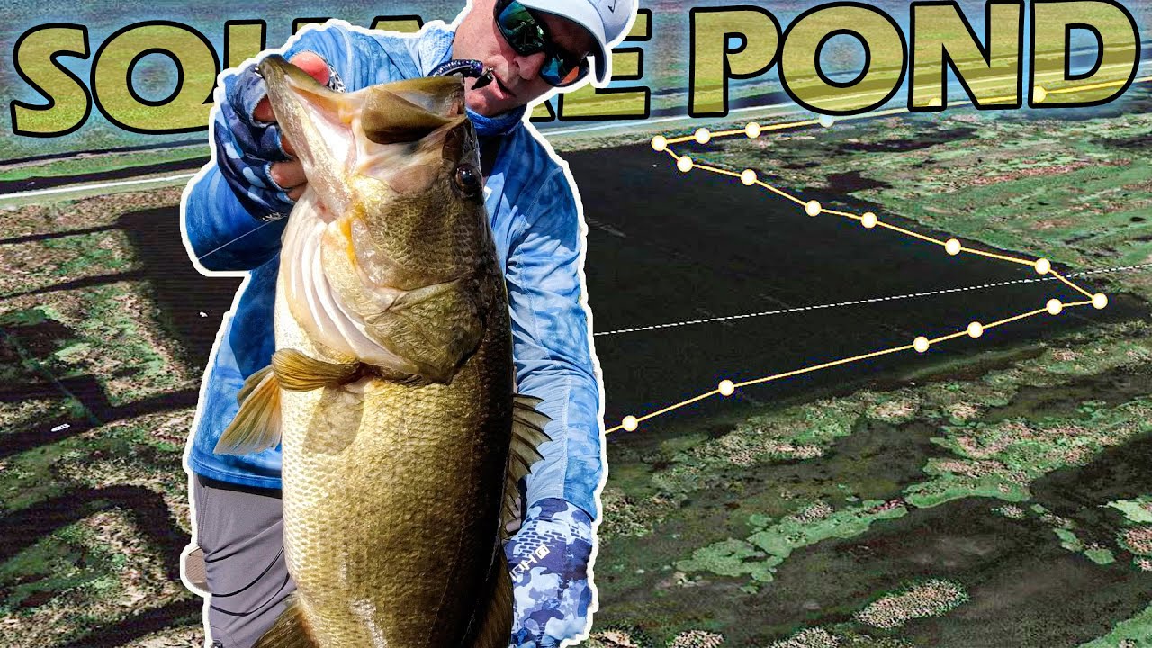 Headwaters Lake's Square Pond Secrets Revealed 🎣✨