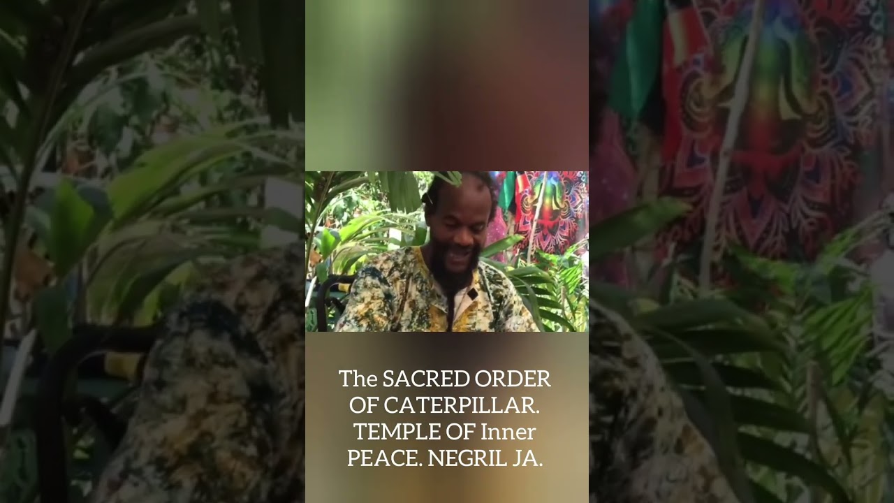 Sacred Order of Caterpillar Shaman Chief Iakongoi lesson 5