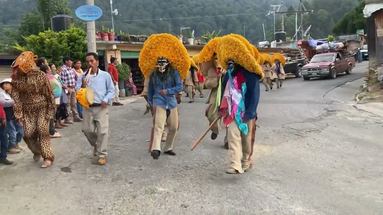 Danza Los Tlacololeros Carrizal De Bravo, Guerrero