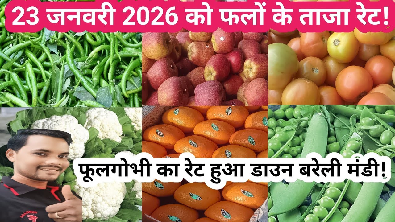 आज के फलों के ताजा रेट!! आज का होलसेल सब्जी रेट क्या है? बरेली मंडी उत्तर प्रदेश!!