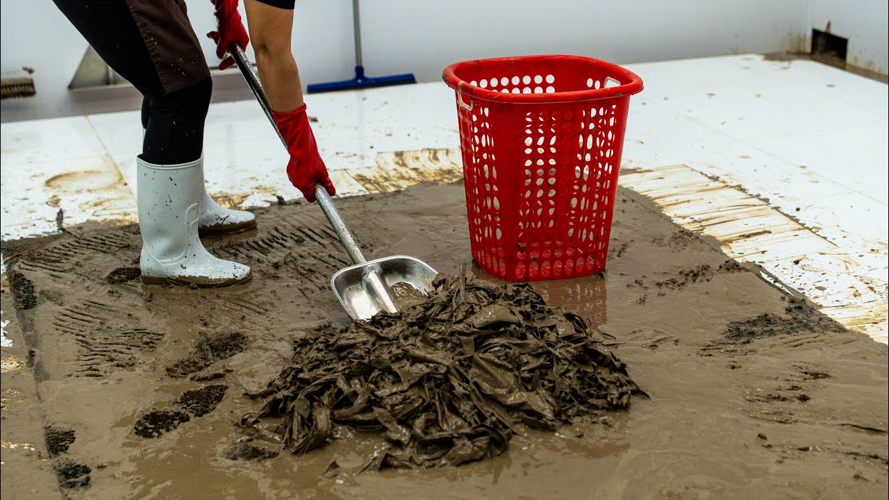 This Rug Was Full of Mud… So We Shoveled It Out | Extreme ASMR Cleaning