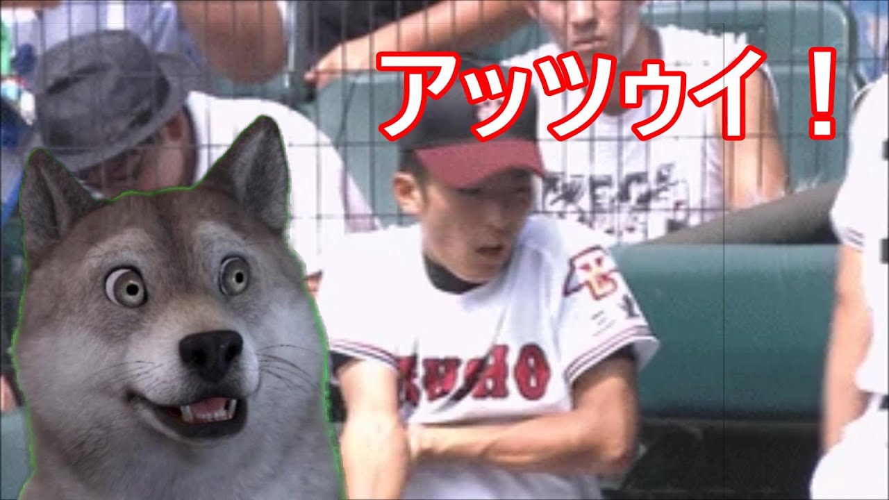 甲子園のチアガールGIFは良いものだ（´・ω・｀）
