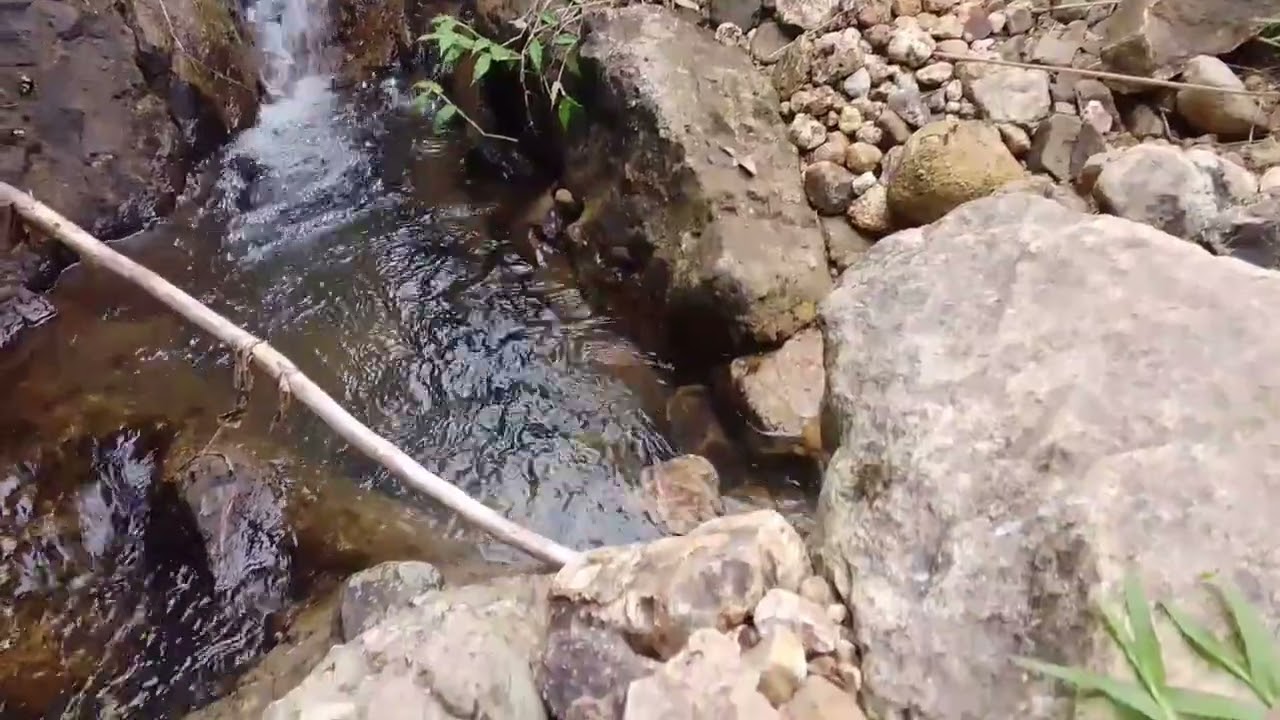 mancing udang di sungai kecil 