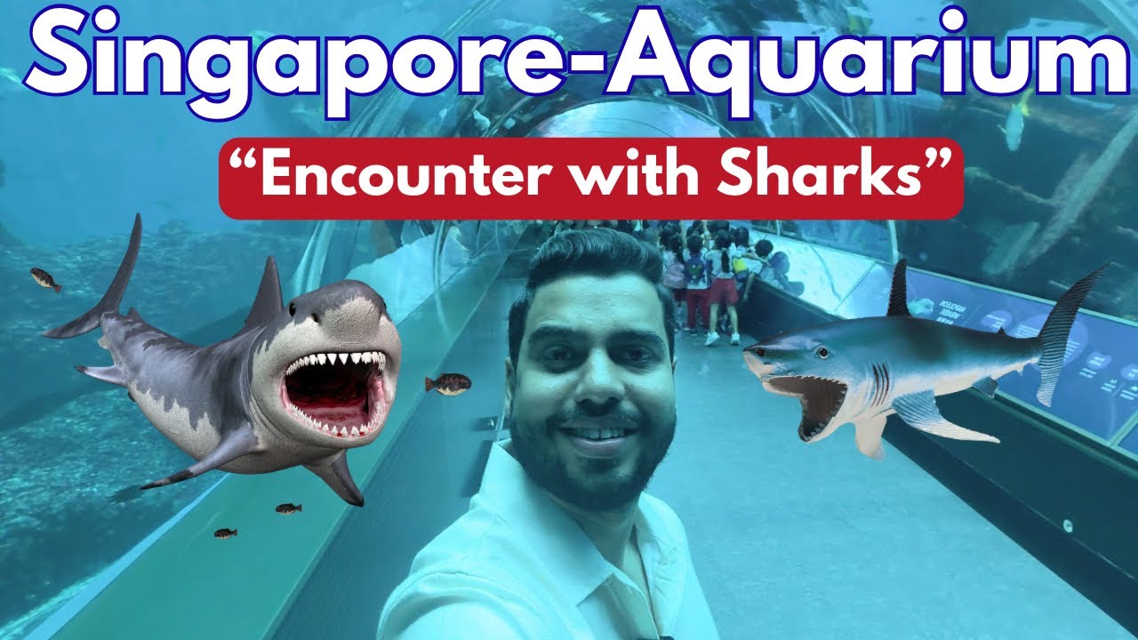 World’s Biggest New Sea Aquarium in Singapore 🇸🇬