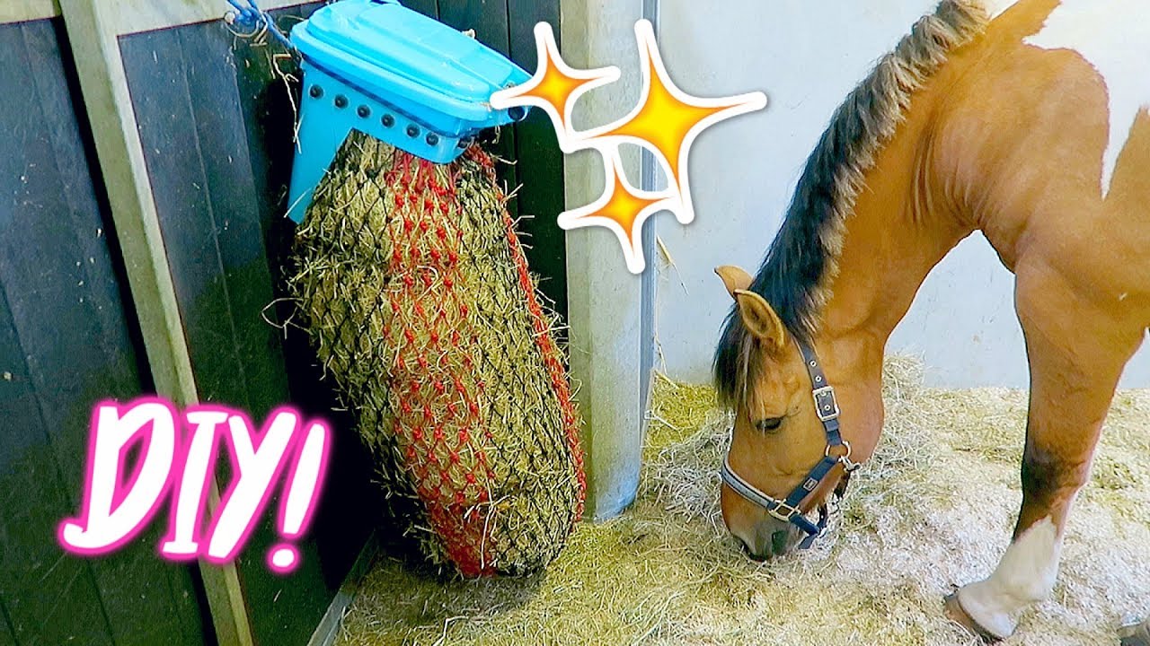 DIY Slowfeeder; hooinet met deksel?! | felinehoi