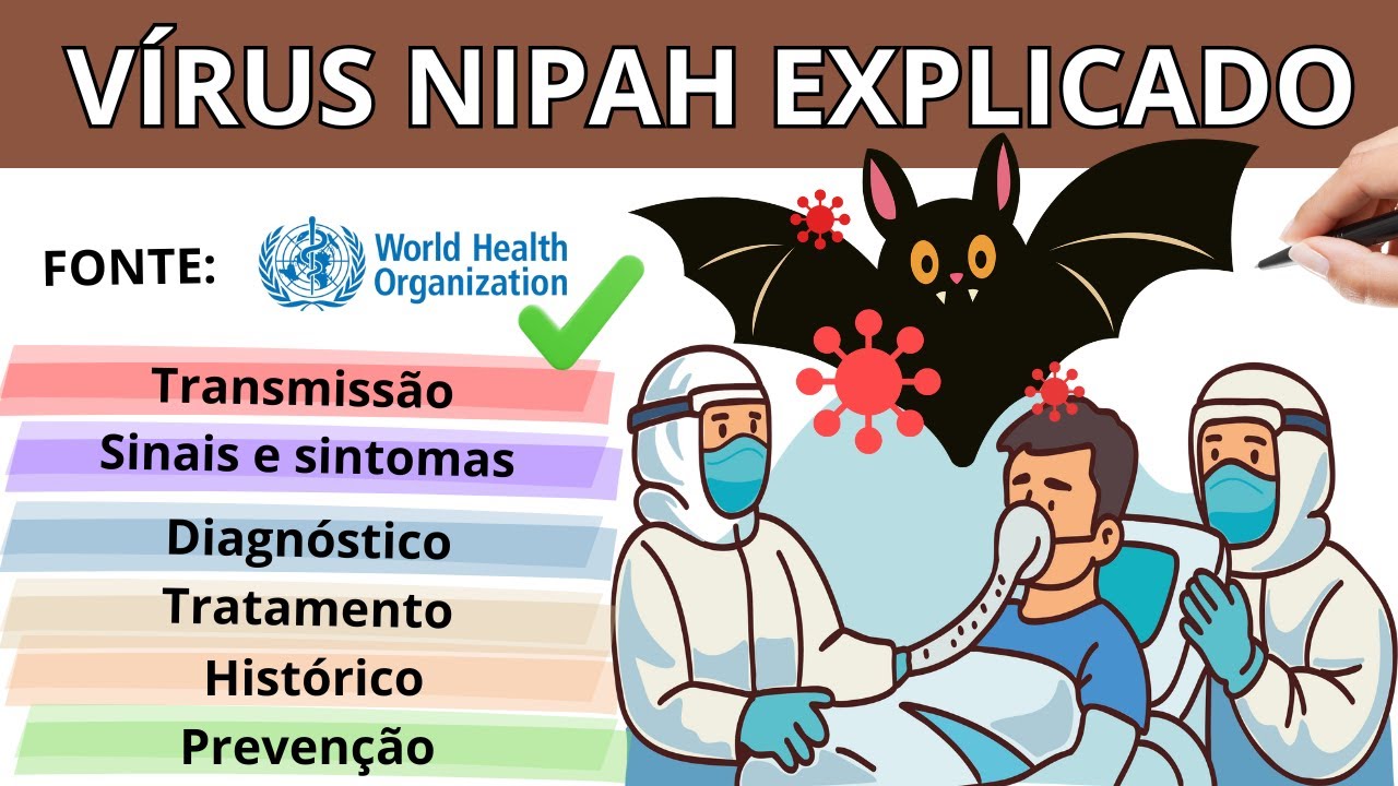Vírus Nipah explicado: tudo que você precisa saber (OMS)