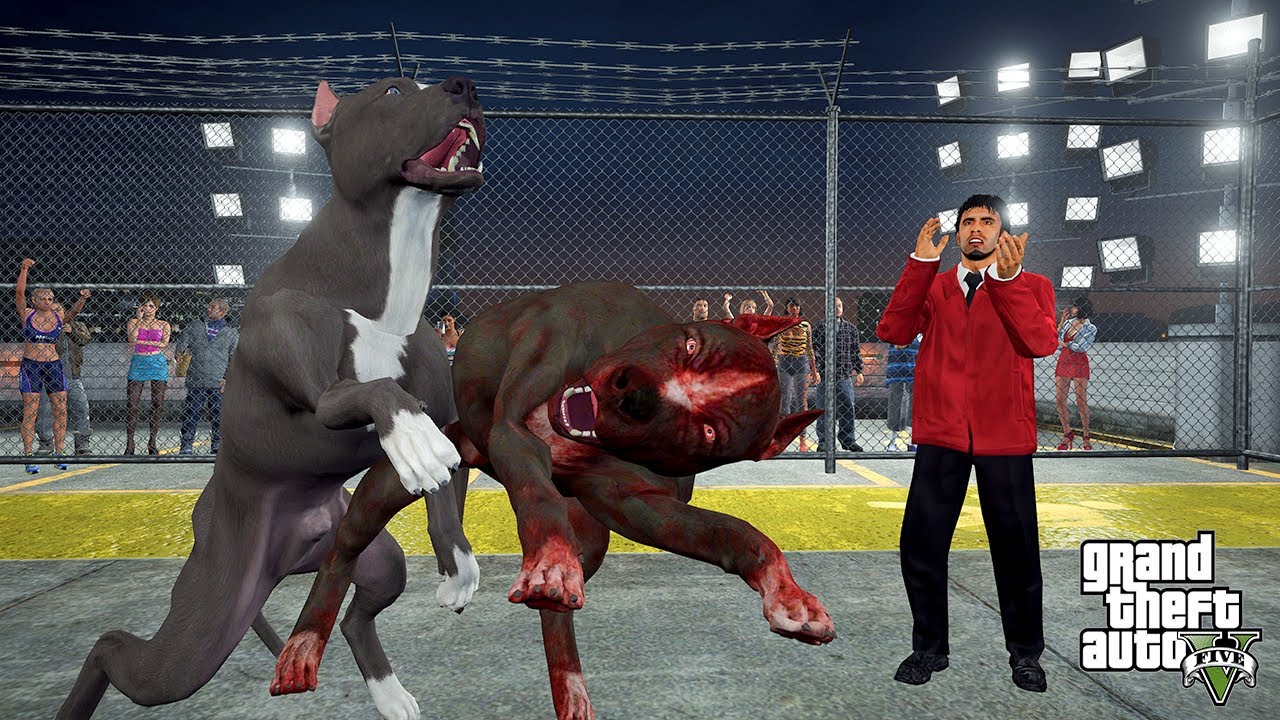 BABAYLA ZOR YARIŞIRLAR! TERMİNATÖR PİTBULL SÜLÜK'ÜN FİŞİNİ ÇEKİYOR! - GTA 5