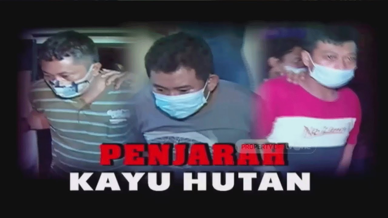 [FULL] Penangkapan Penjarah Kayu Hutan | Buru Sergap tvOne