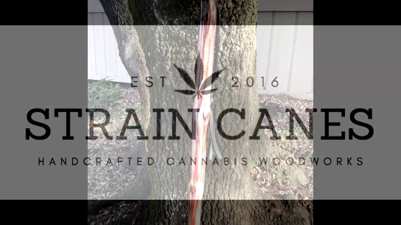 Custom walking sticks made from the stalk of the cannabis plant. We are Strain Canes.