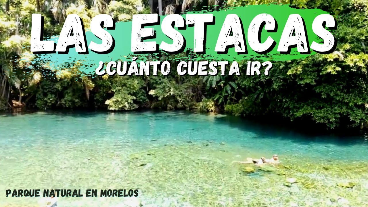 LAS ESTACAS en #Morelos 🌴 Parque Natural ¿Cuánto cuesta ir? Paraíso de Agua Cristalina