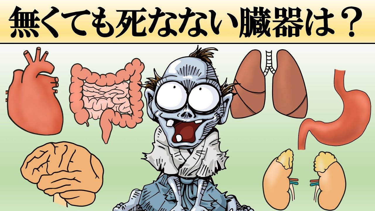 無くても生きていける内臓とは？【科学】