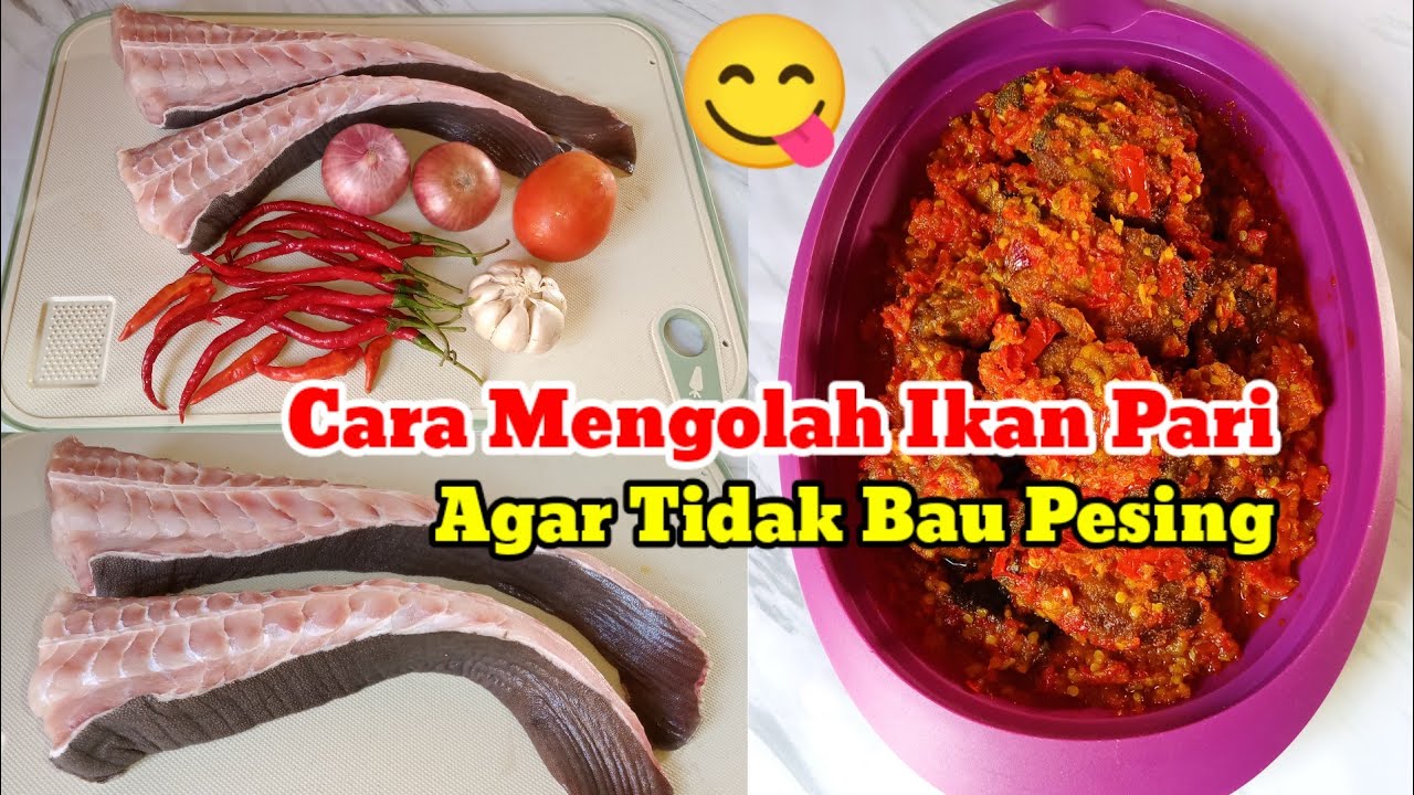 Cara Masak Ikan Pari Supaya Tidak Bau Pesing
