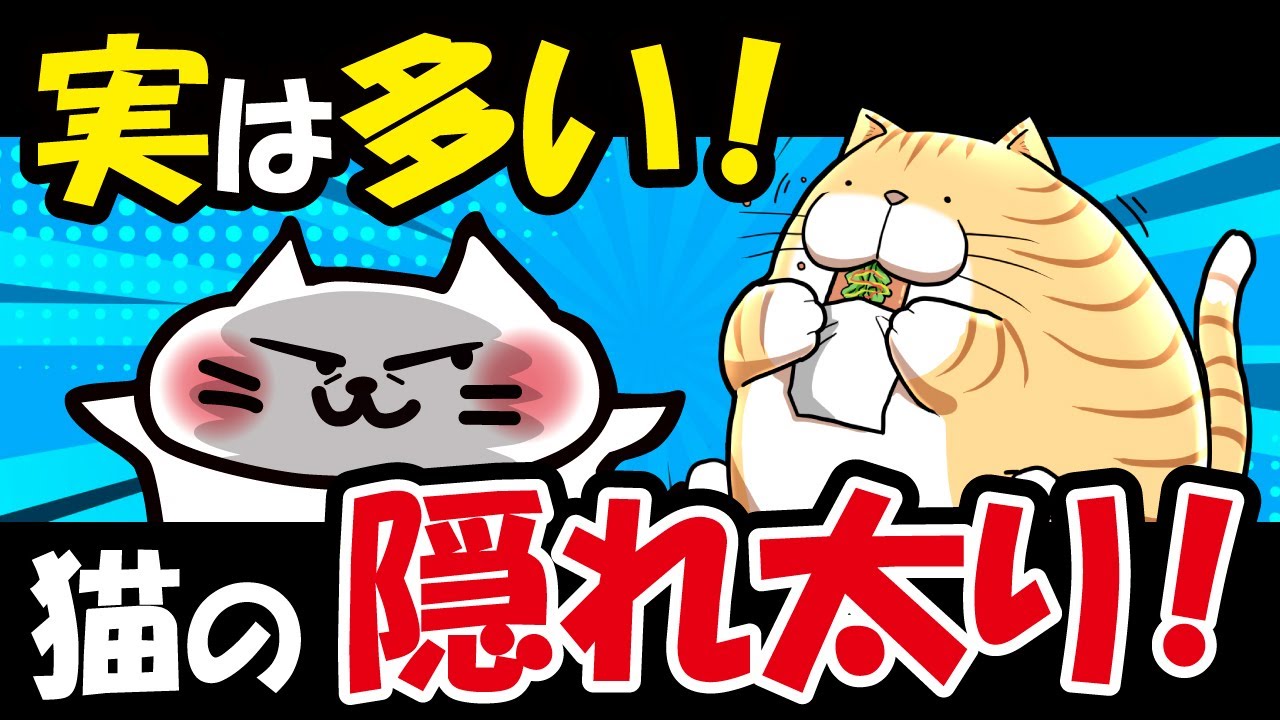 実は結構多い！猫の隠れ太り！見抜き方と対策！