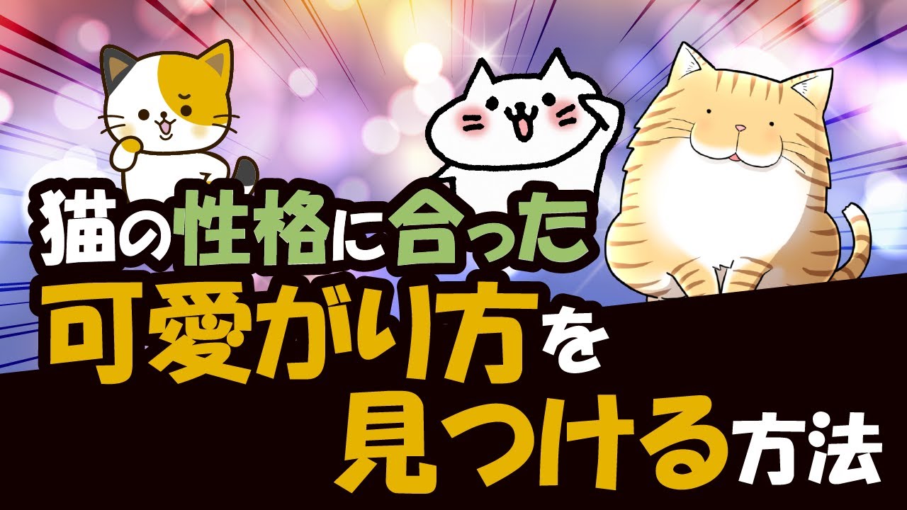 猫の性格・個性に合った「可愛がり方」が実はある！見つけ方を詳しく解説！