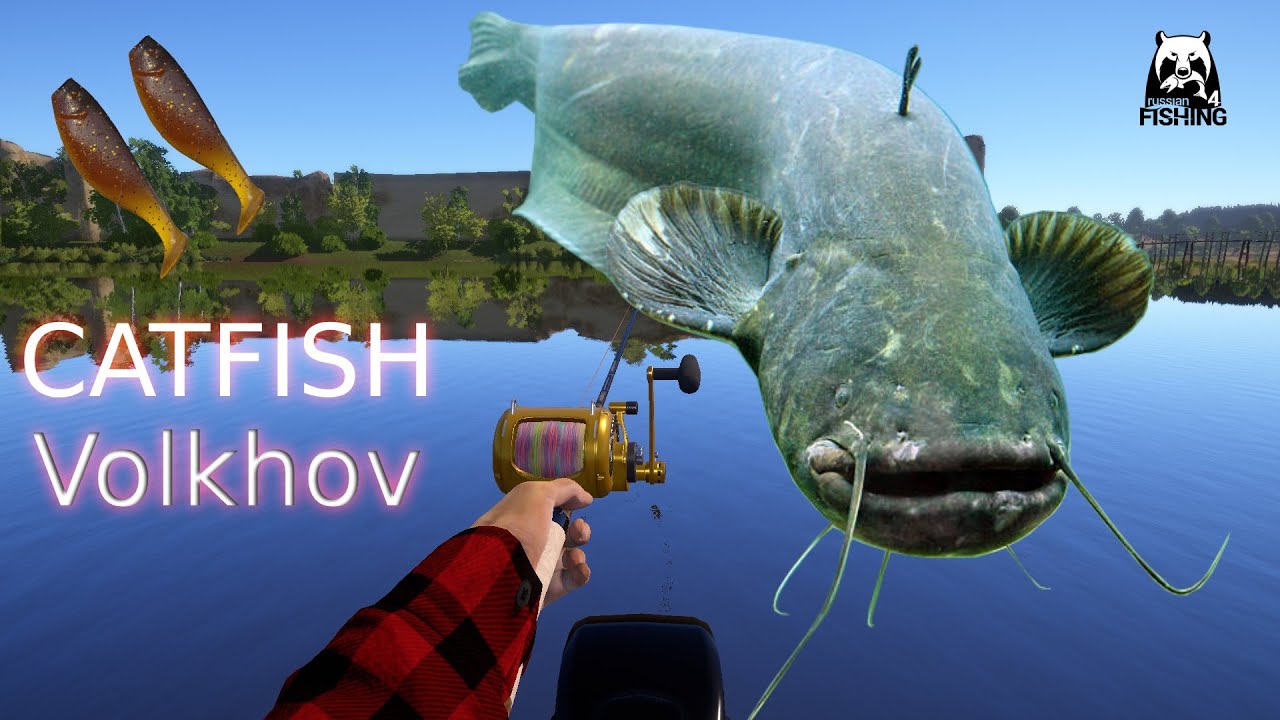 Russian Fishing 4 RF4 Volkhov river| Active Catfish Spot